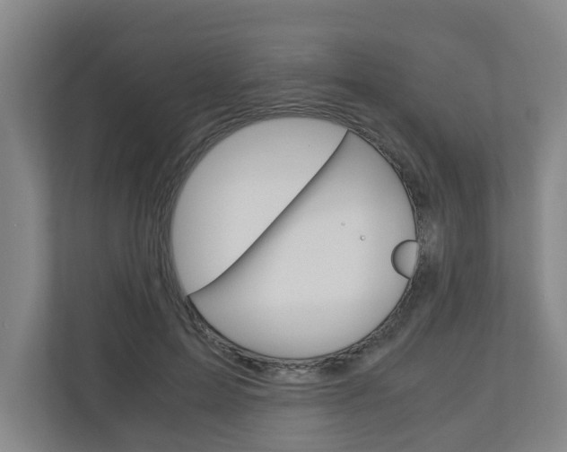 X0000110930599200906181157