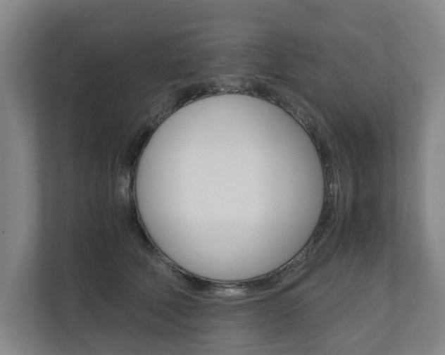 X0000110930610200906181157
