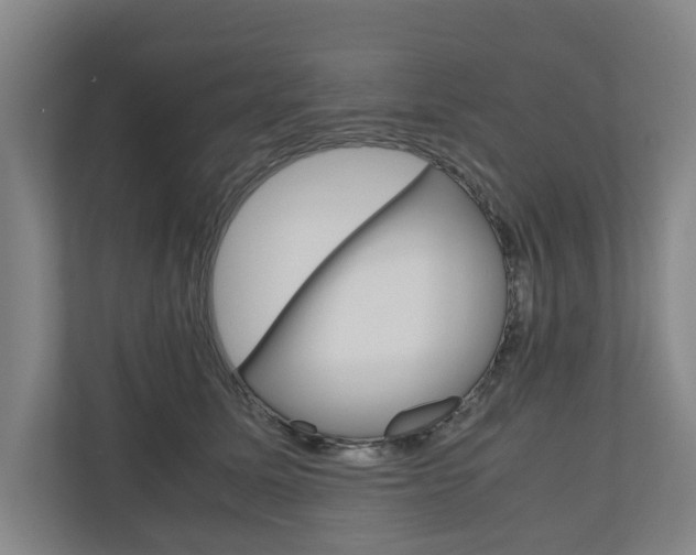 X0000110930611200906181157