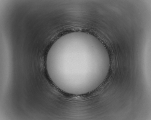 X0000110930616200906181157
