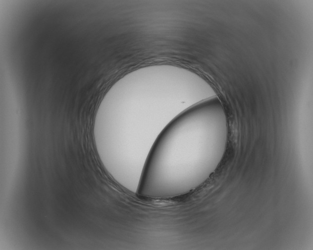X0000110930617200906181157
