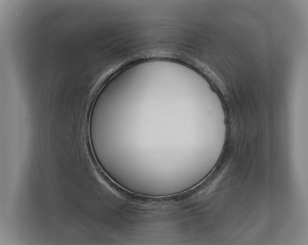 X0000110930625200906181156