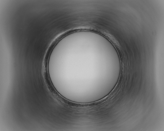X0000110930628200906181156