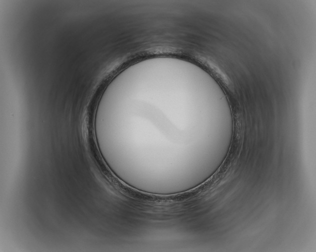 X0000110930631200906181156