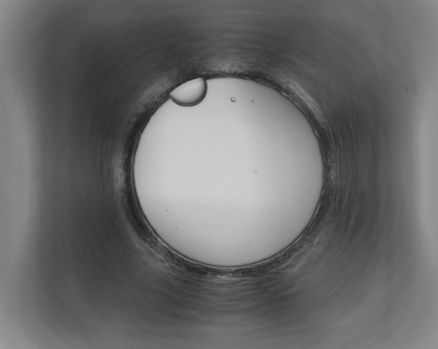 X0000110930635200906181156
