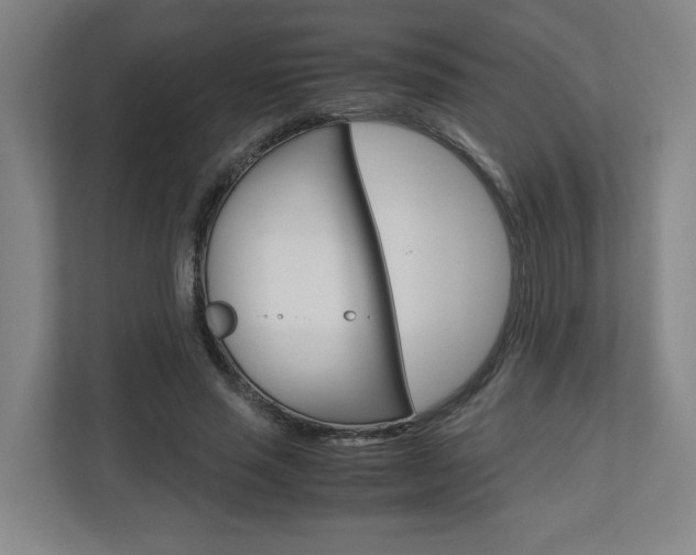 X0000110930637200906181156