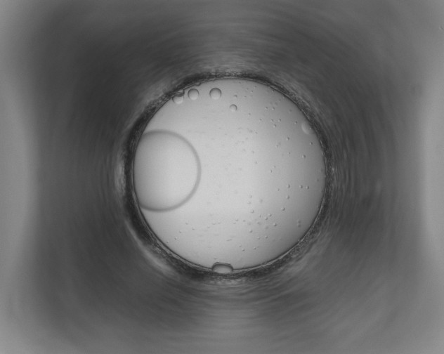 X0000110930638200906181156