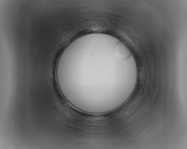 X0000110930639200906181156