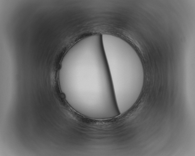 X0000110930641200906181156