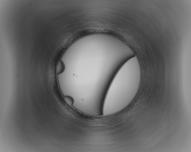 X0000110930642200906181156
