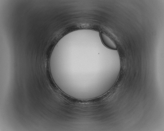 X0000110930645200906181156