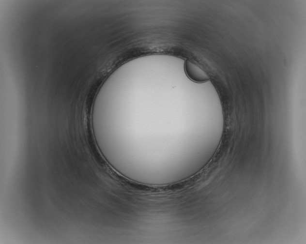 X0000110930646200906181156