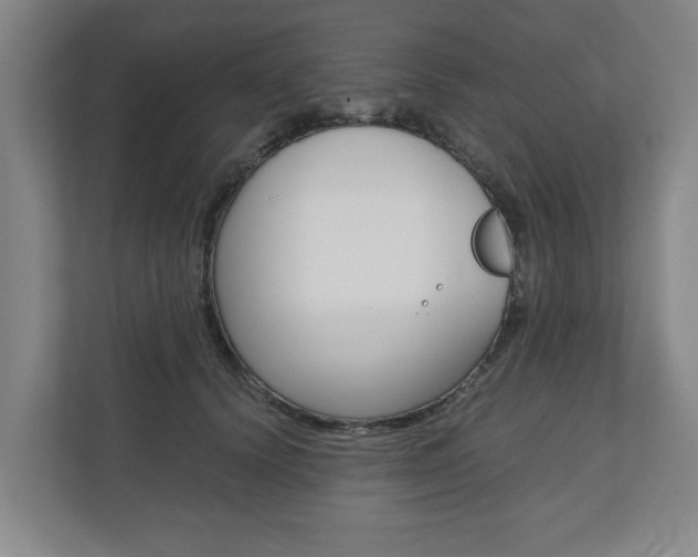 X0000110930656200906181157