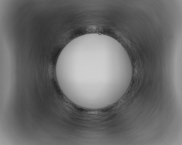X0000110930659200906181157