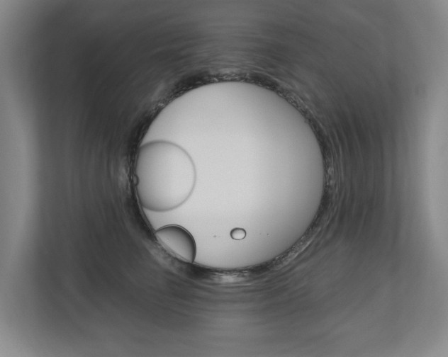 X0000110930662200906181157