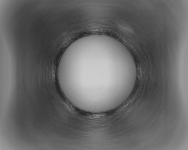 X0000110930664200906181157