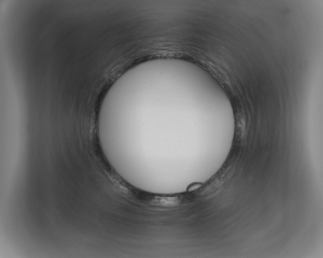 X0000110930665200906181157