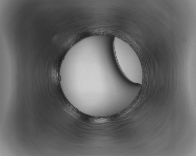 X0000110930669200906181157