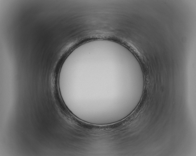 X0000110930679200906181156