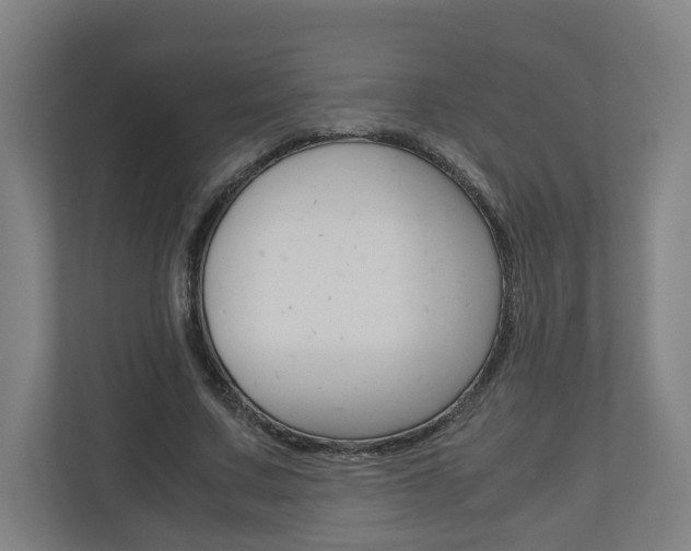 X0000110930683200906181156