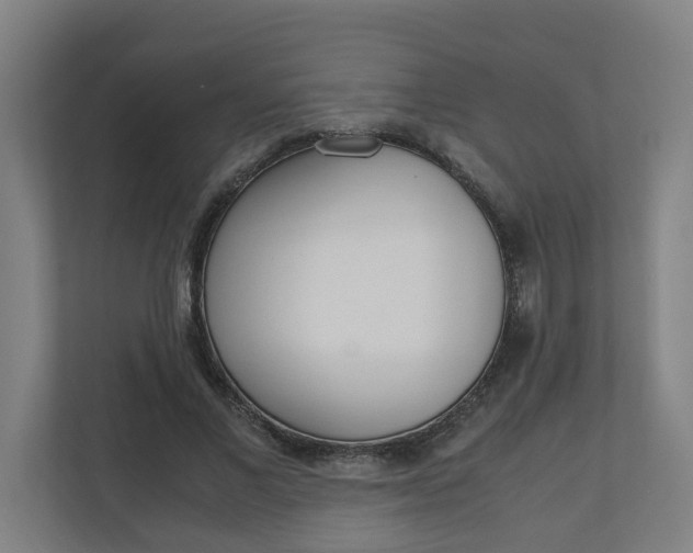 X0000110930685200906181156