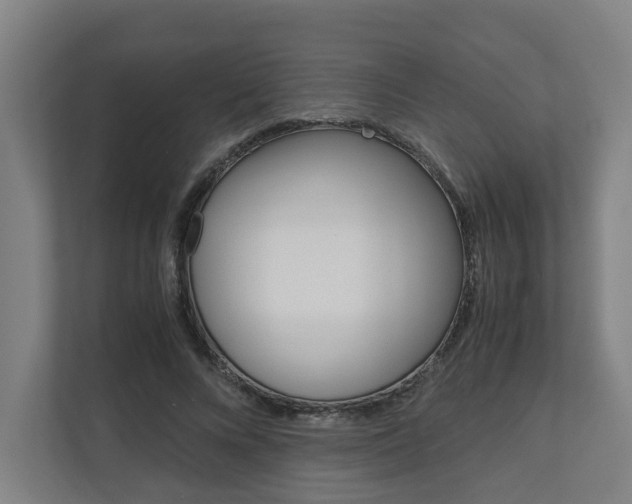 X0000110930688200906181156