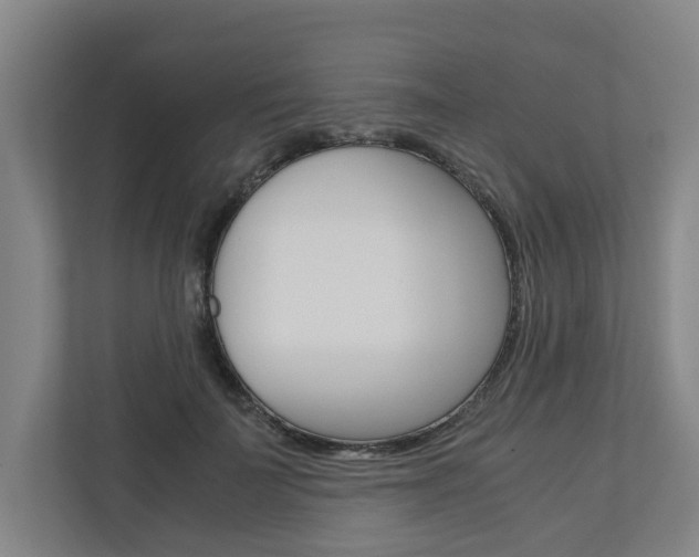 X0000110930699200906181156