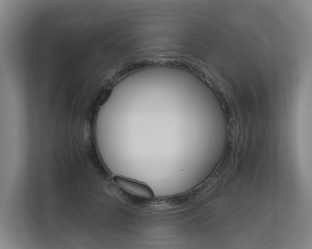 X0000110930704200906181156