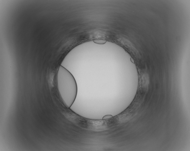 X0000110930709200906181156