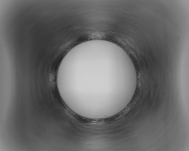 X0000110930714200906181156
