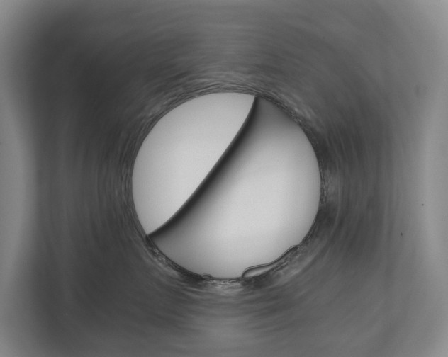 X0000110930719200906181156