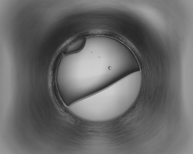 X0000110930724200906181155