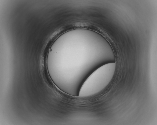 X0000110930727200906181155