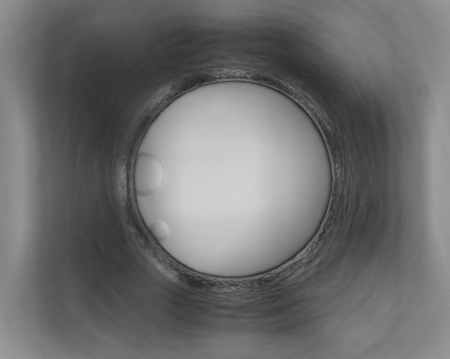 X0000110930729200906181155