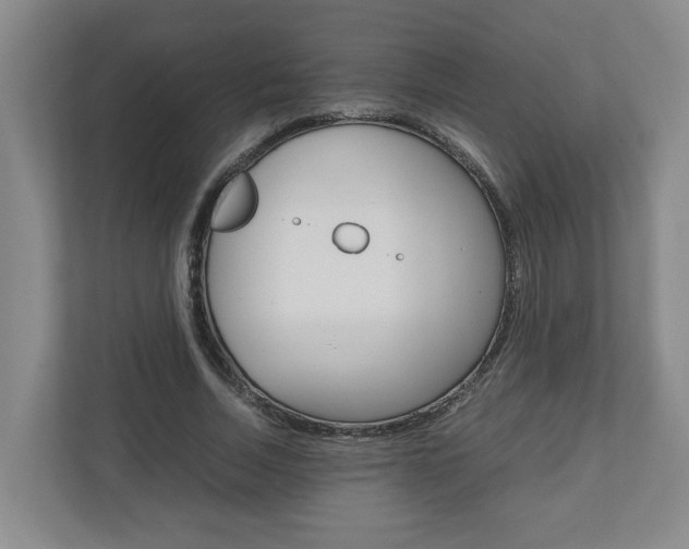 X0000110930730200906181155