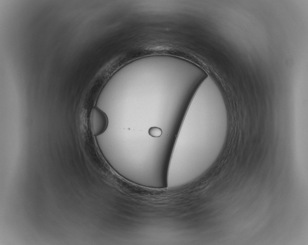 X0000110930731200906181155