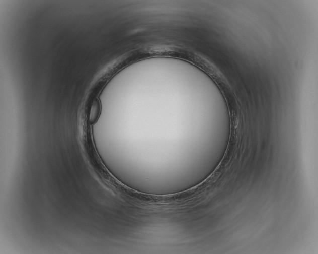 X0000110930732200906181155