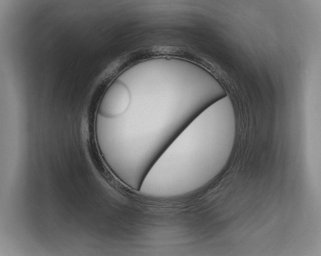 X0000110930734200906181155