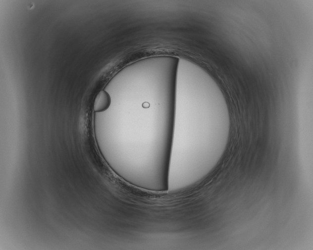 X0000110930735200906181155