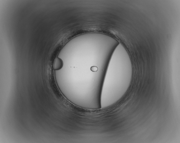 X0000110930739200906181155