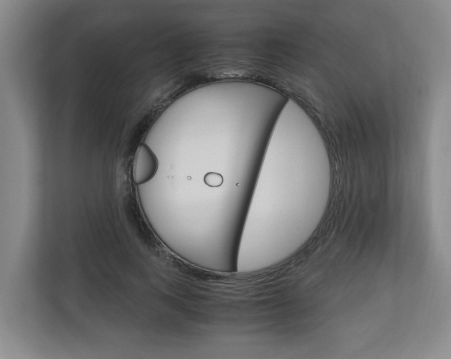 X0000110930743200906181155