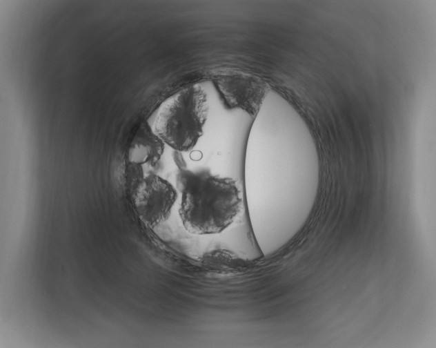 X0000110930745200906181155