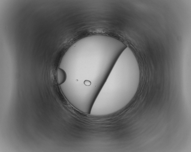 X0000110930747200906181155