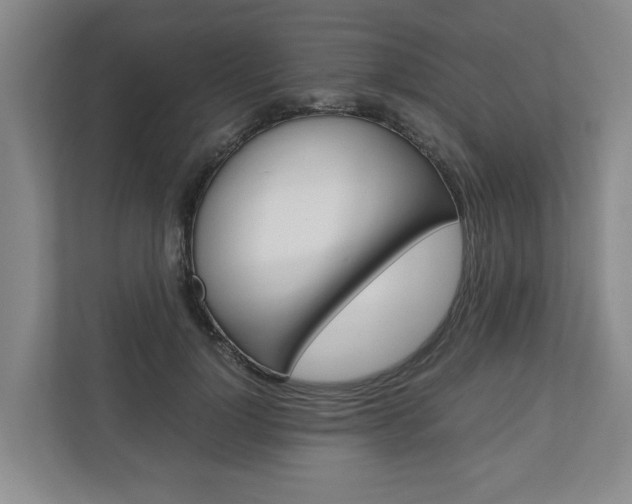 X0000110930748200906181155