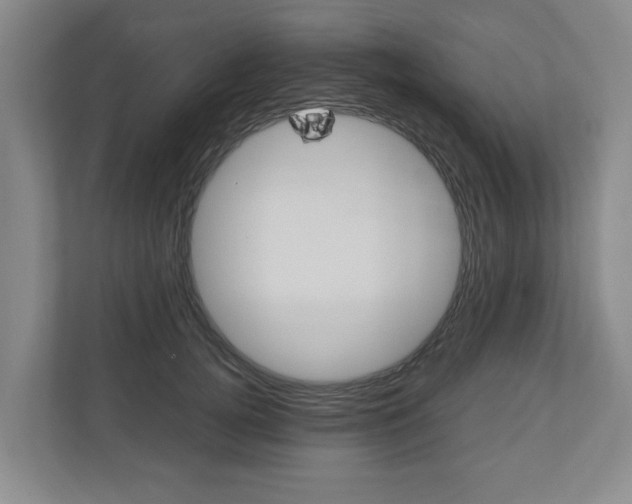X0000110930752200906181155