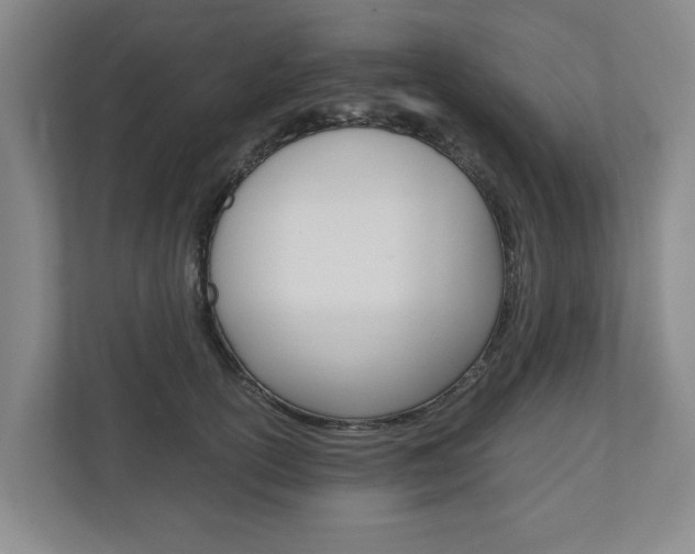 X0000110930754200906181155