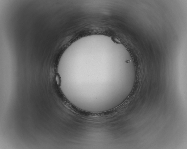X0000110930756200906181155