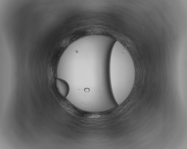 X0000110930759200906181155
