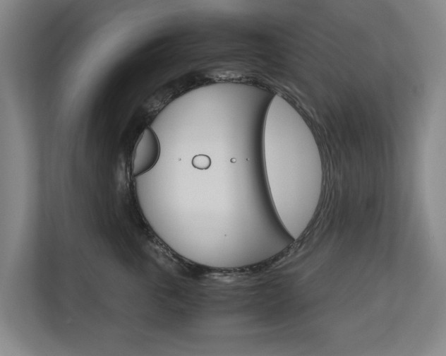 X0000110930763200906181155