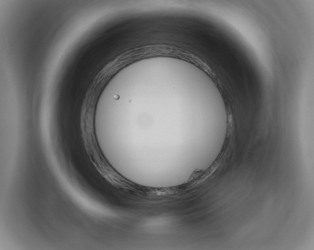 X0000110930765200906181155